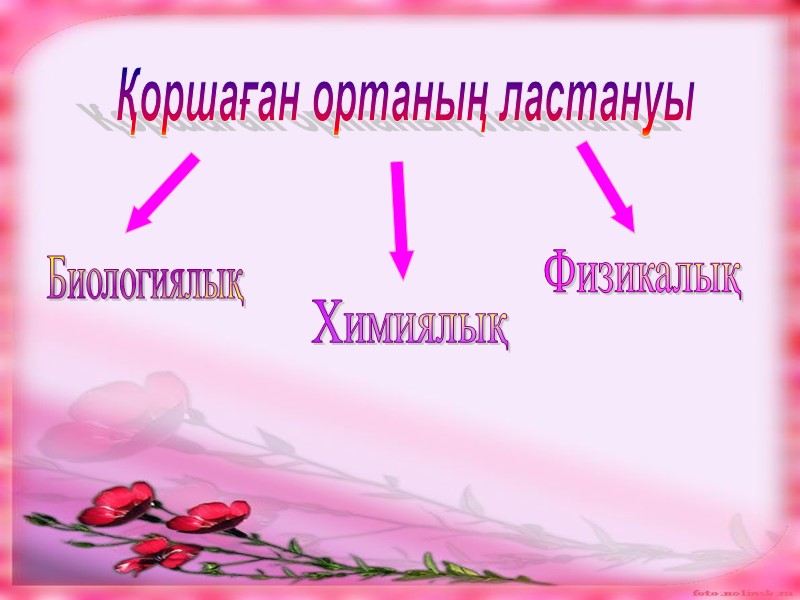 Қоршаған ортаның ластануы Химиялық Биологиялық Физикалық